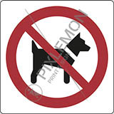 Alu-schild cm 20x20 kein zutritt für hunde - no dogs