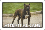 Cartello alluminio cm 30x20 attenti al cane