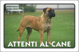 Cartello alluminio cm 30x20 attenti al cane