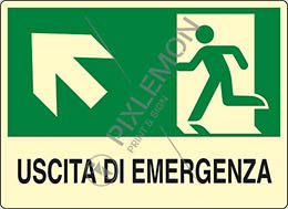 Cartello alluminio luminescente cm 30x20 uscita di emergenza scala in alto a sinistra