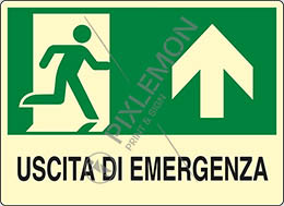 Cartello alluminio luminescente cm 50x35 uscita di emergenza in alto