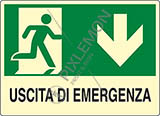 Cartello alluminio luminescente cm 30x20 uscita di emergenza in basso